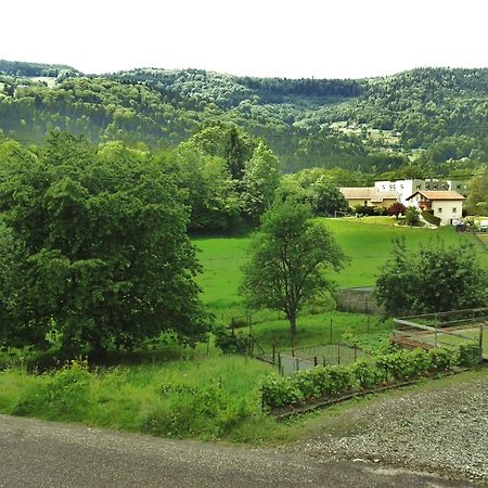 Les Jolis Coeurs Hotel Thiefosse Bagian luar foto